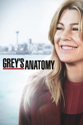 Grey's Anatomy: Die jungen Ärzte - Staffel 17