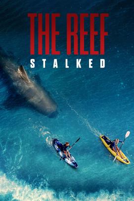 The Reef: Stalked