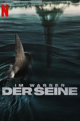 Im Wasser der Seine